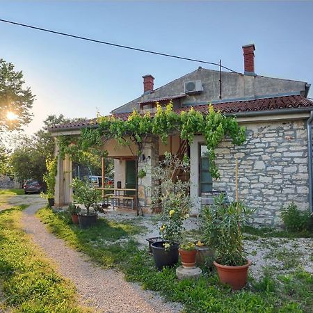 Rural Apartment Geja Umag Zewnętrze zdjęcie