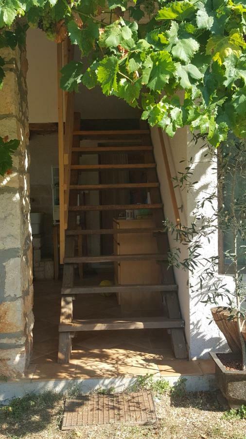 Rural Apartment Geja Umag Zewnętrze zdjęcie